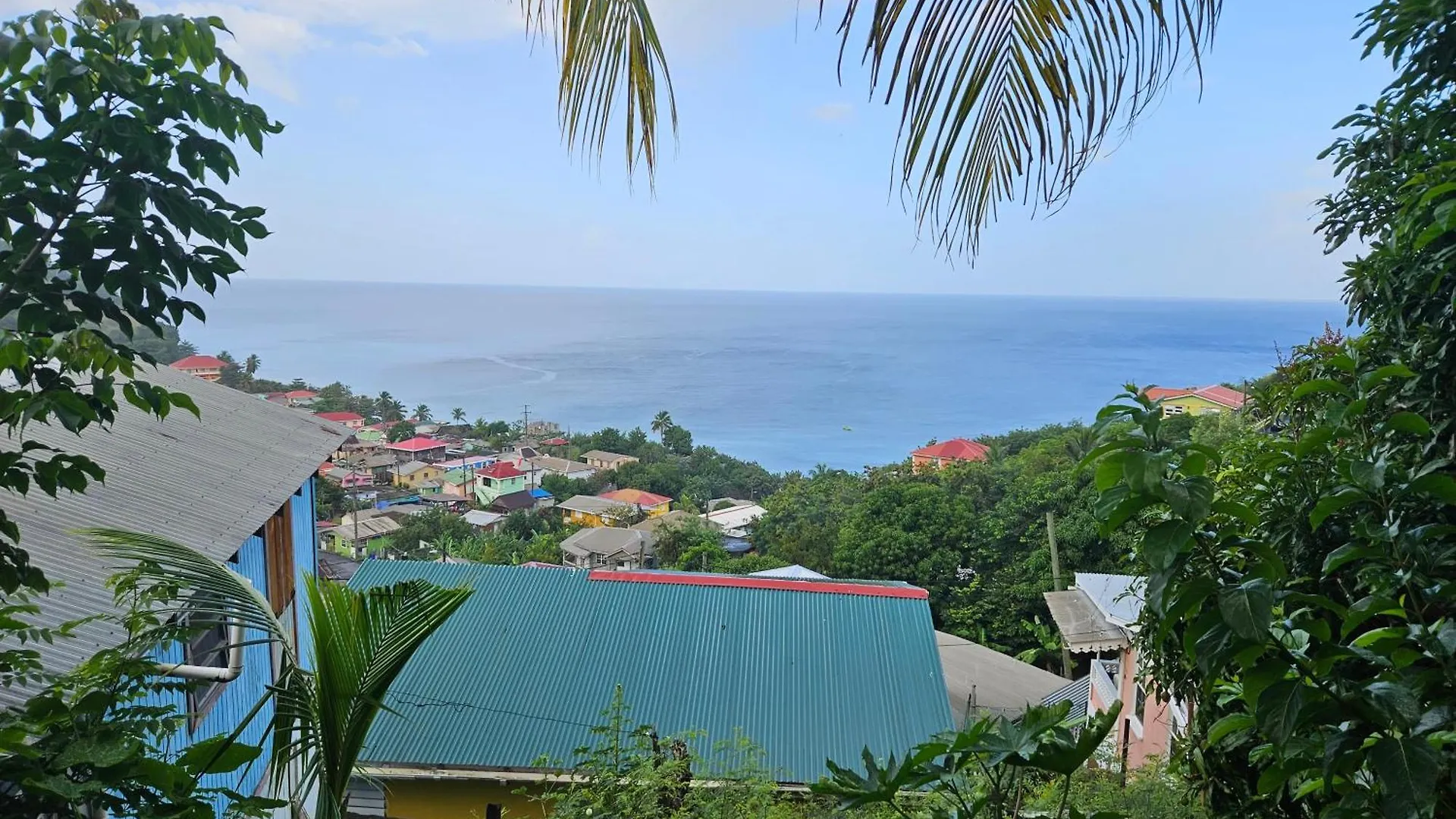 Cabin Creole contacts